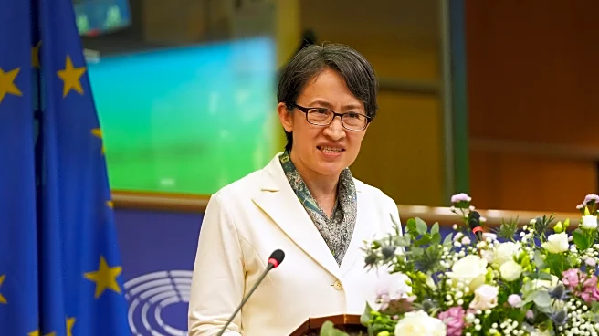 Taiwan's vice president calls for closer EU ties in rare address to international lawmakers