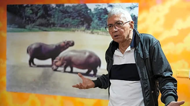 Colombian artists transform Pablo Escobar's hippos and excesses into art