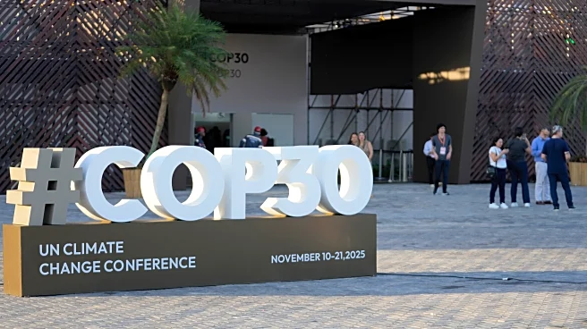 What to know about COP30, this year's UN climate talks