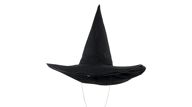 Black hat worn by the Wicked Witch of the West in 'The Wizard of Oz' is going up for auction