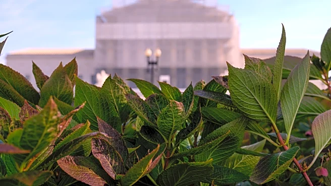 Louisiana prison guards cut a Rastafari inmate's dreadlocks. Supreme Court will decide if he can sue