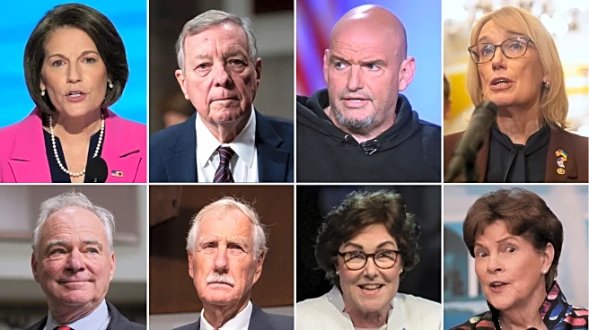 These 8 senators broke with Democrats on the government shutdown deal. Here's how they explain it