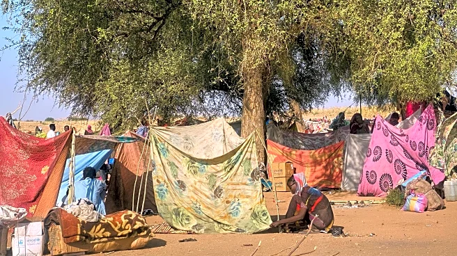 Sudan relief operations are 'on the brink of collapse,' UN migration agency warns