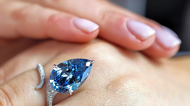 'Mellon Blue' diamond sells for $26.6 million at Swiss auction