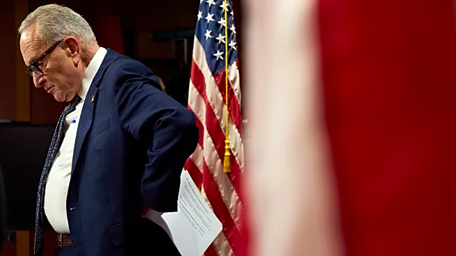 Schumer faces criticism as shutdown nears end, but his job appears safe