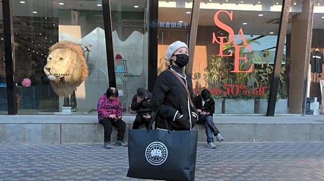 China's Singles' Day online shopping bonanza's sales slow as shoppers opt for more affordable deals