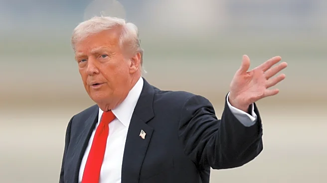 What Americans think about Trump's management of the government, according to a new AP-NORC poll