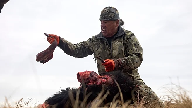 Tribes that restored buffalo are killing some to feed people because of the shutdown