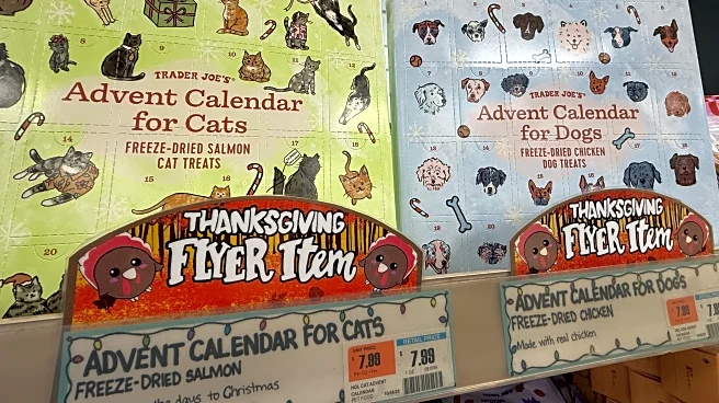 Fishing lures. Pet toys. Art supplies. Advent calendars offer personalized ways to count down