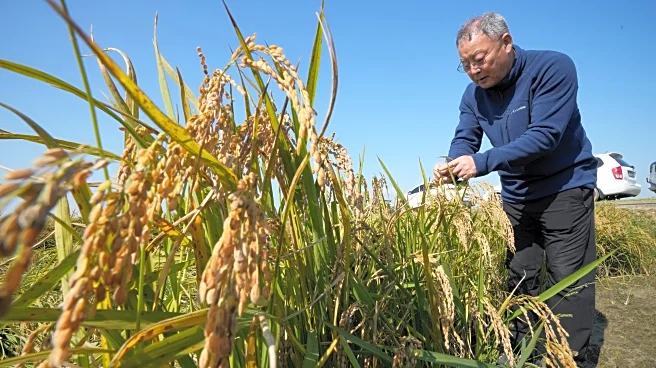 South Korean growers sue state power utility, blaming climate change for crop damage