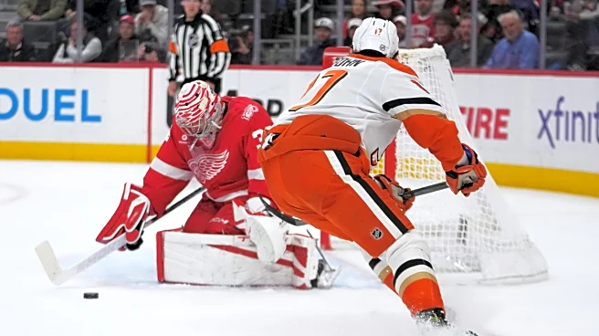Alex DeBrincat scores twice, Red Wings beat Ducks 6-3 to end 3-game slide