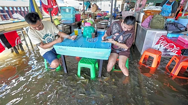 A flooded restaurant in Thailand brings delight with swimming fish among diners