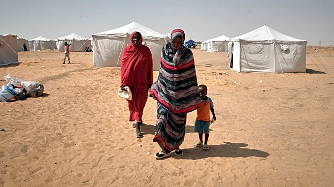 UN human rights body holds session on Sudan after killings by paramilitary in Darfur