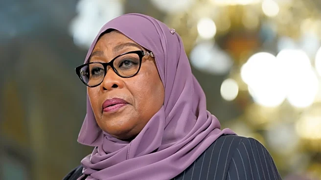 Tanzania president forms inquiry commission to probe election protests killings