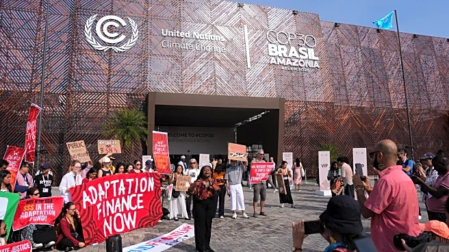COP30 makes individual climate actions seem small. That's why experts say to work in groups