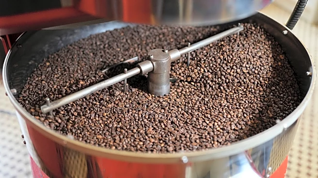 Brazilian coffee, beef and tropical fruit will still be tariffed 40%, says Brazil’s vice president