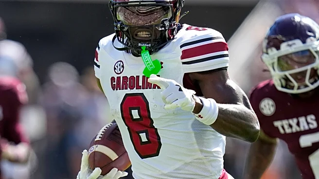 Texas state trooper who had run-in with South Carolina's Nyck Harbor was sent home from game