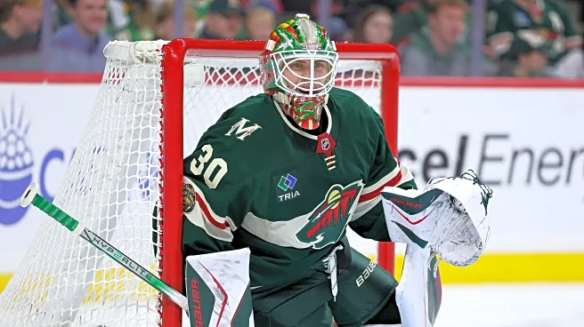 Jesper Wallstedt mades 28 saves for 2nd straight shutout, Wild beat Ducks 2-0