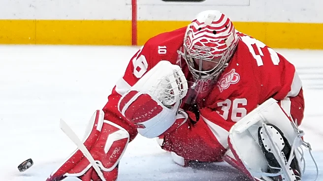 Samuelsson's OT goal lifts Sabres past Red Wings, 5-4, for first road win of season