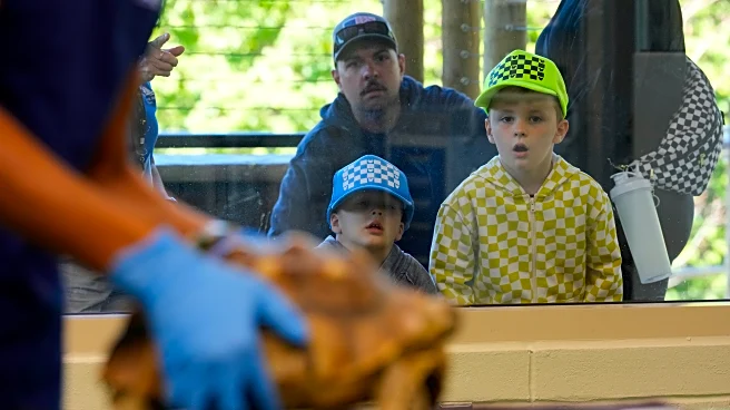 Visitors to a New Jersey zoo get to watch veterinarians treat the animals