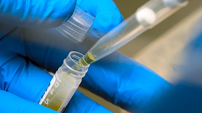 NIH funding cuts have affected over 74,000 people enrolled in experiments, a new report says