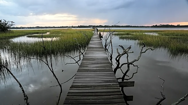 EPA moves to limit scope of clean water law to reduce amount of wetlands it covers