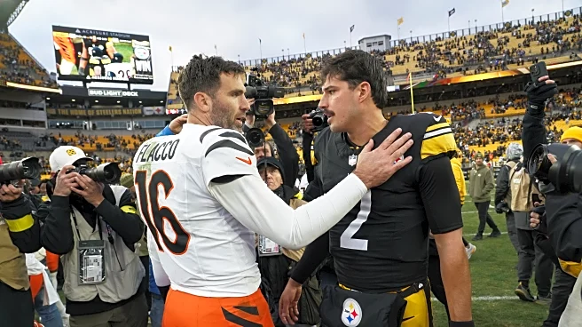 Mason Rudolph has turned into a pretty good backup plan for the Steelers