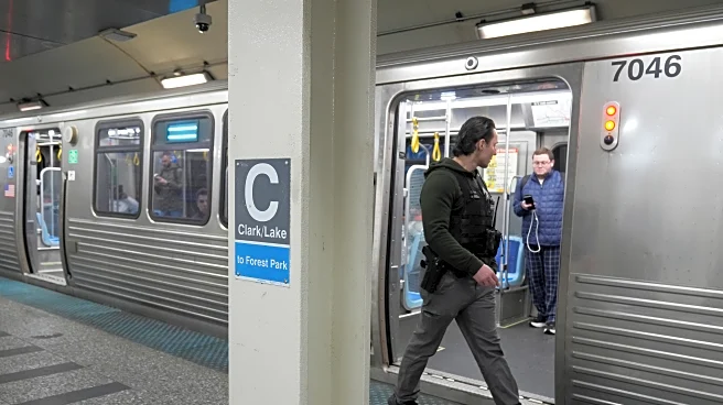 Man sets fire to a woman on a Chicago L train before fleeing, police say