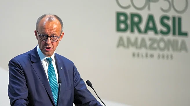 Germany's Merz under fire in Brazil for his comments on Amazon host city of COP30