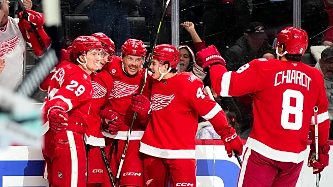 Red Wings rookie Nate Danielson has goal and assist for first NHL points in 4-2 win over Kraken