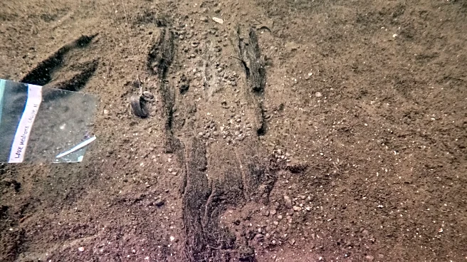 Wisconsin archaeologists identify 16 ancient canoes in a prehistoric lake 'parking lot'
