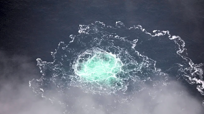 Italian court approves extradition to Germany of Ukrainian suspect in Nord Stream pipeline blast