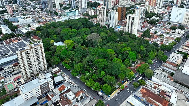 Gangs expand to nearly half the towns in the Brazilian Amazon, report finds