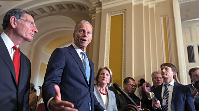 House looks to repeal provision that allows senators to sue over phone record seizures