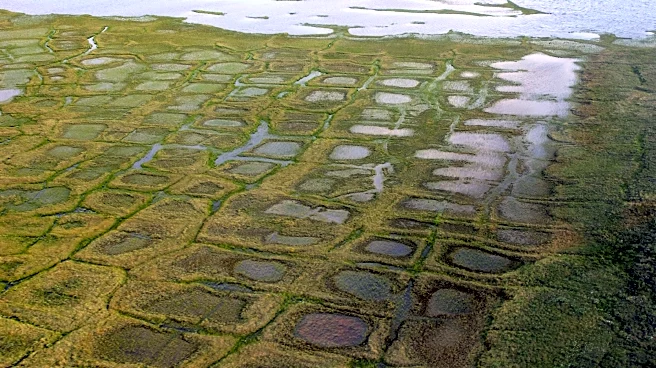 Congress approves measure to overturn Biden-era management plan for Alaska petroleum reserve