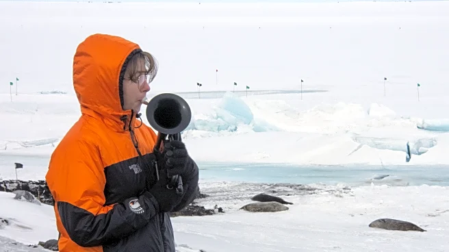 On the world’s coldest stage, a military musician plays with a plastic horn and double gloves