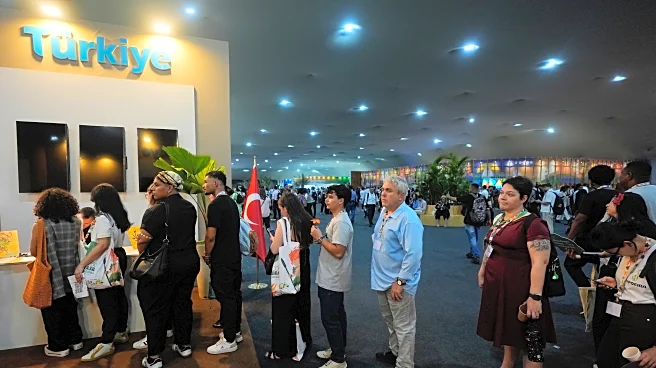 Next year's UN climate talks set for Turkey after Australia withdraws bid to be the venue