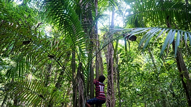 Communities of slave descendants in Brazil demand recognition of territories