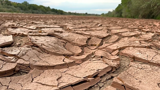 A drying-up Rio Grande basin threatens water security on both sides of the border