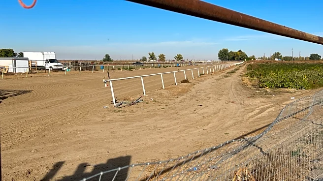 Federal judge orders release of 16 migrants detained in Idaho raid, citing due process violations