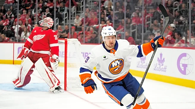 Shabanov has 2 goals and an assist, Sorokin stops 29 shots as Islanders beat Red Wings 5-0