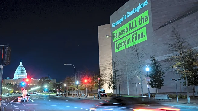 The fallout of Epstein's crimes span the globe. Here's a look at some of those paying the cost