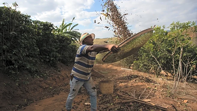 Brazil hails US tariff rollback as ‘significant progress' and seeks more exemptions