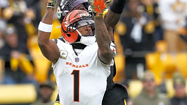 Bengals' Ja'Marr Chase apologizes for spitting incident that led to his suspension