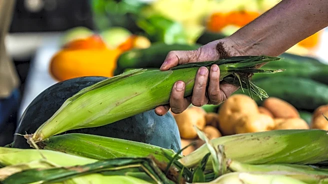 The most climate-friendly groceries might not be in the supermarket