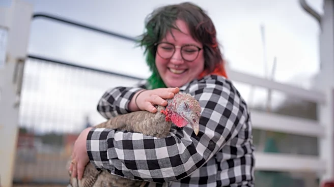 At The Gentle Barn, turkeys are for snuggling, not stuffing at Thanksgiving