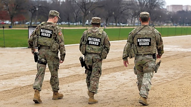 Trump sent National Guard troops to Washington in August. Some are armed. Some have cleaned parks