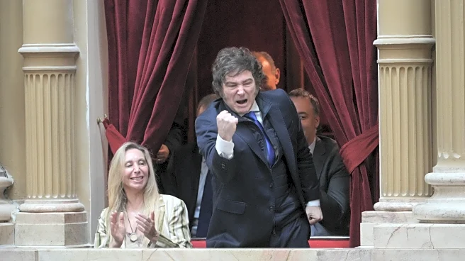 Argentina's President Milei to issue a dollar bond, eyeing a return to global markets