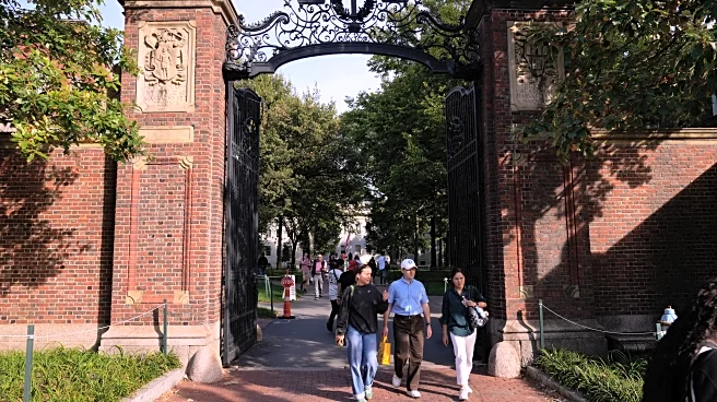 Harvard professor leaves US after arrest with pellet gun near synagogue, said he was hunting rats