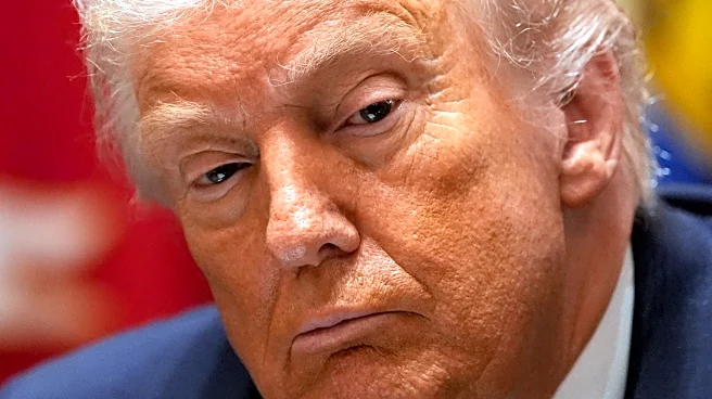 Trump's attacks on Minnesota's Somali community cast a spotlight on fraud cases